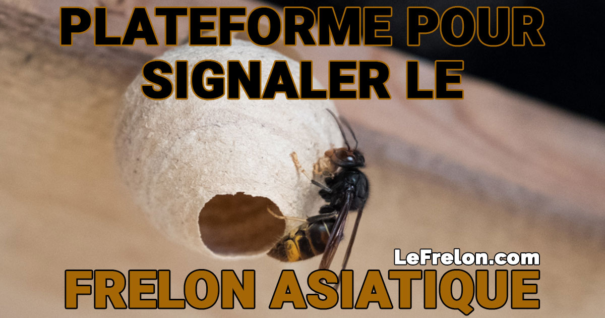 (c) Lefrelon.com